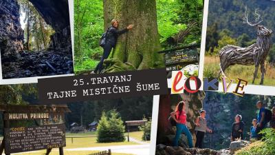 Image Tajne mistične šume i dubokog jezera + degustacija likera