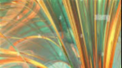 Image cover image 2