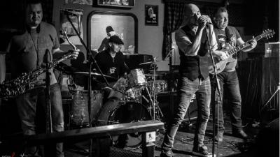 Image Dino Dvornik - Tribute Band