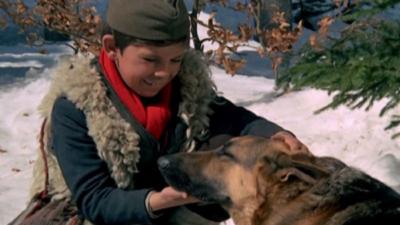 Image KULtni film: Vuk samotnjak