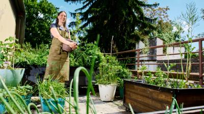 Image RADIONICA UZGAJANJE GLJIVA KOD KUĆE