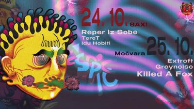 Image ŠPIC FESTIVAL 2. DAN (Močvara)
