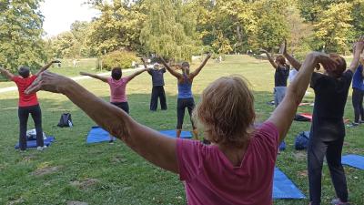 Image LJETO KOD BARTOLA: TAI CHI, jutarnji trening za građane
