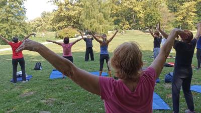 Image LJETO KOD BARTOLA: TAI CHI, jutarnji trening za građane