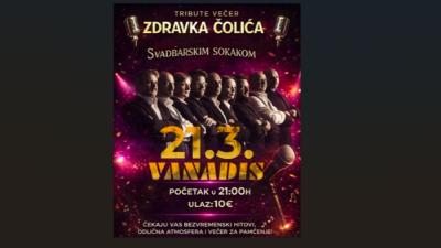 Image Zdravko Čolić tribute band - Svadbarskim sokakom